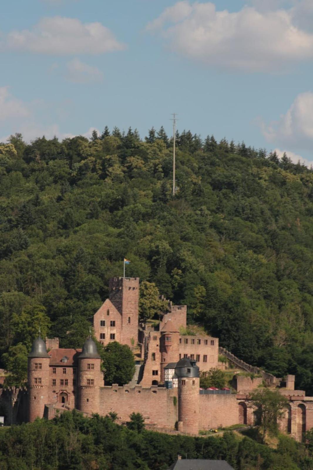 Apartment Am Zolltor Wertheim Luaran gambar